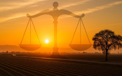 Will I Have to Pay If I Lose My Personal Injury Case? | Central Valley