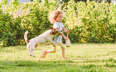 Neighbor’s Dog Attack on Child